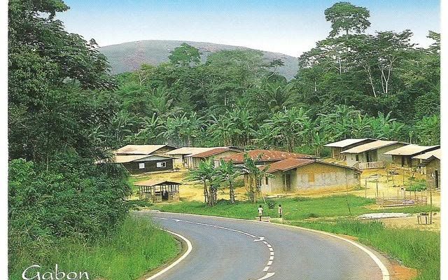 Gabon : un adolescent de 12 ans décède à l’hôpital après avoir affirmé avoir été mordu par un serpent