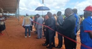 Ngounié : une nouvelle usine de bois vise 10 000 m³ de production par mois et emploie déjà 180 personnes