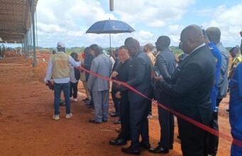 Ngounié : une nouvelle usine de bois vise 10 000 m³ de production par mois et emploie déjà 180 personnes
