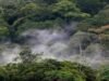 Biodiversité : le Gabon en tête du Bassin du Congo avec 262 nouvelles espèces découvertes en dix ans