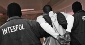Gabon : un réseau de fausse vente de véhicules démantelé lors d’une vaste opération d’Interpol contre la cybercriminalité