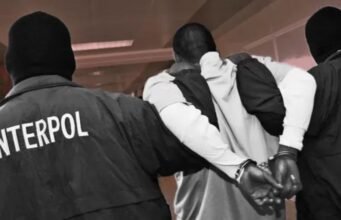 Gabon : un réseau de fausse vente de véhicules démantelé lors d’une vaste opération d’Interpol contre la cybercriminalité