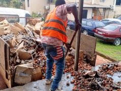Gabon : 83 880 œufs importés du Cameroun détruits à Bitam après des contrôles sanitaires alarmants