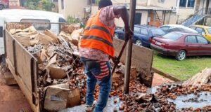 Gabon : 83 880 œufs importés du Cameroun détruits à Bitam après des contrôles sanitaires alarmants