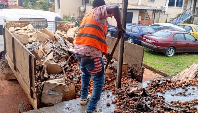 Gabon : 83 880 œufs importés du Cameroun détruits à Bitam après des contrôles sanitaires alarmants